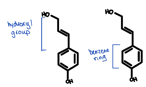 <ul><li><p>only found in the secondary cell well</p></li><li><p>comprised of a hydroxyl group &amp; benzene ring</p></li></ul><p></p>
