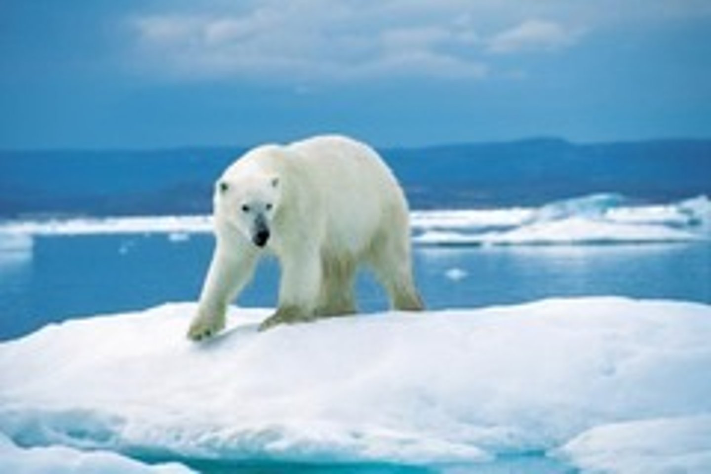 <p>An inhabitant, resident, or frequenter of a place.</p>