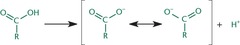 <p>The more stable the negative charge is the stronger the acid.</p>