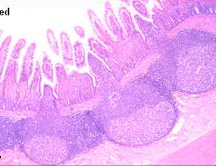 <p>this is from the</p>