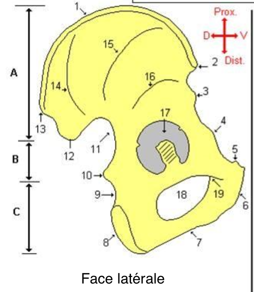 <p>8</p>