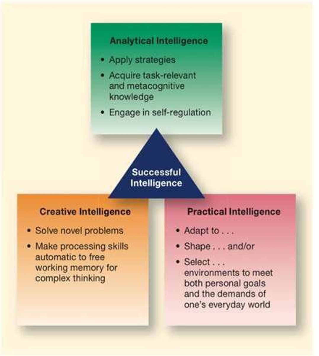 <p>It emphasizes analytical, creative, and practical intelligence as interrelated components of intelligent behavior.</p>