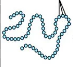 <p>Which level of protein structure is directly determined by the DNA sequence?</p>