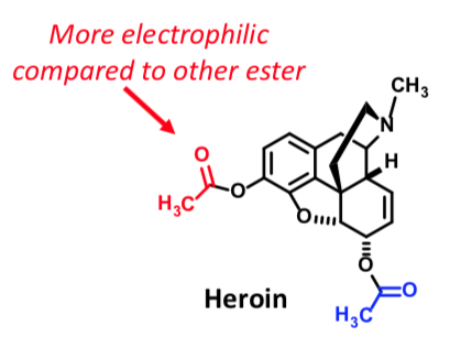 <p><span style="color: rgb(112, 48, 160)"><strong>PRODRUG: INACTIVE AT OP RECEPTORS AS IS!</strong></span></p><p><span>More lipophilic than morphine </span></p><p><span>better BBB access</span></p>