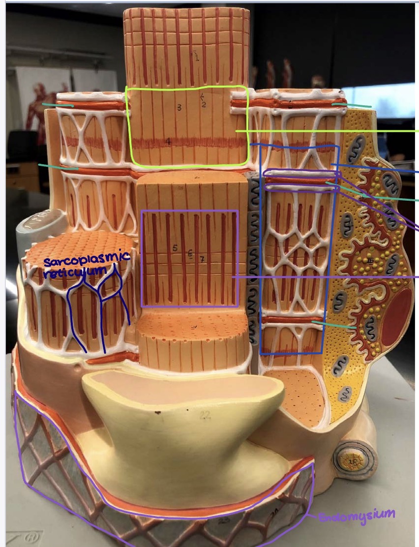 <p>Purple square</p>