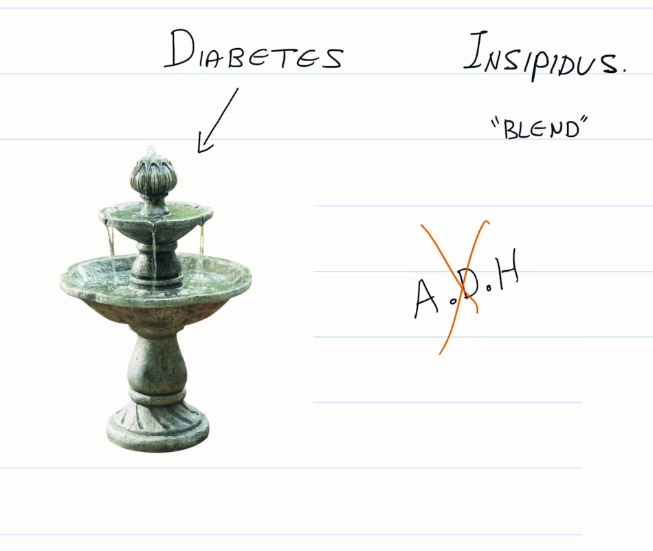 <ul><li><p>Caused by a lack of ADH in the body.</p></li><li><p>Characterized by frequent, clear urination, with sugar in the urine.</p></li><li><p>Dangerous as the patient may be losing too much water.</p></li></ul><p></p>