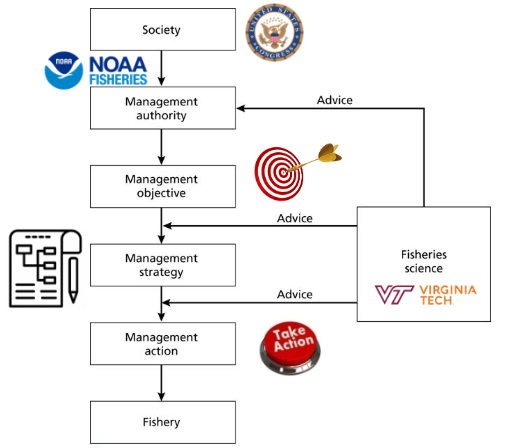 <p>society/politics set objectives</p><p>managers define strategy </p><p>scientists advise managers</p>