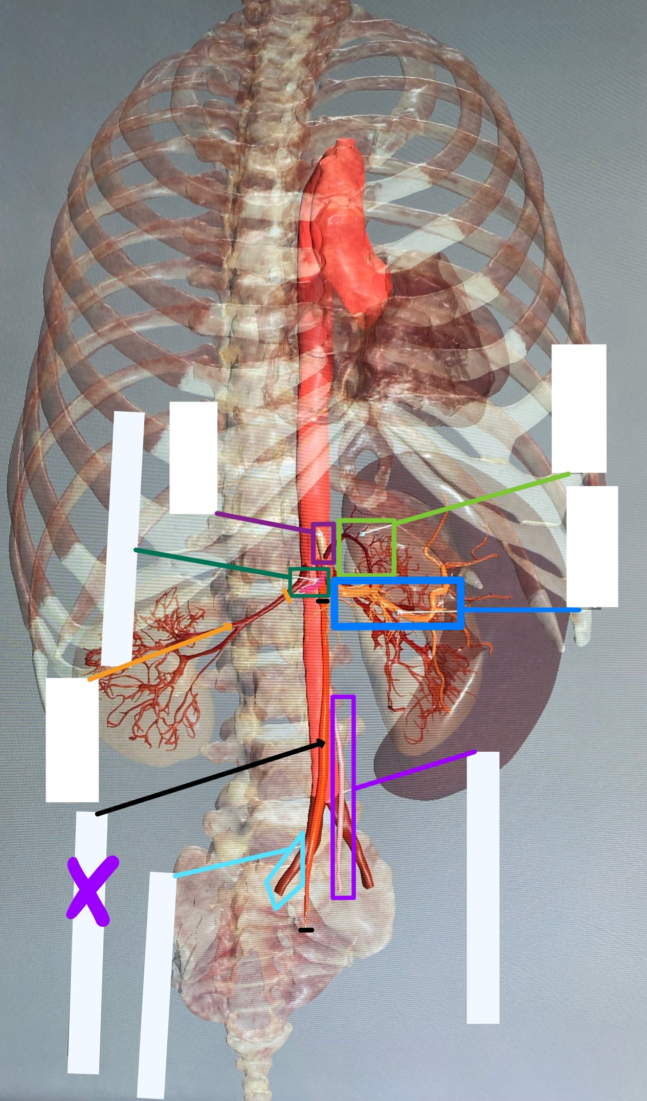 knowt flashcard image