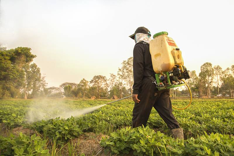 <p>pesticide /ˈpɛstɪsaɪd/&nbsp;</p>