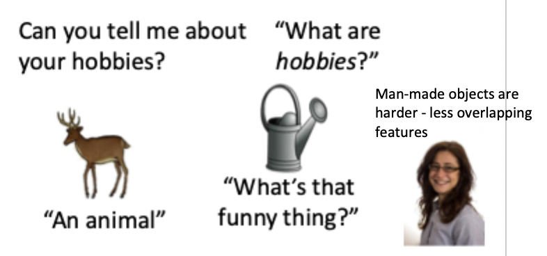 <ul><li><p>subtype of frontotemporal dementia</p></li><li><p>progressive loss of conceptual knowledge across modalities</p></li></ul><p></p>