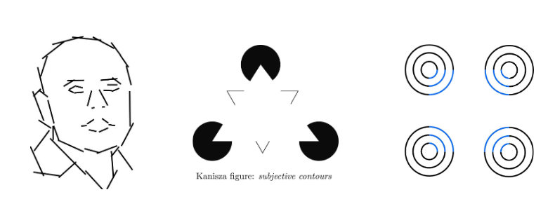 <ul><li><p>V1 kan informatie over object contouren doorsturen naar hogere visuele areas</p><ul><li><p>ontbreken van stuk van rand van object lijkt visuele systeem niet te hinderen</p><ul><li><p>verschillende stukjes informatie worden gecombineerd om visuele systeem inschatting te laten maken over aanwezigheid &amp; betekenis van contour</p></li></ul></li></ul></li><li><p>inferentiële aard van contourperceptie → Kanizsa-figuur:</p><ul><li><p>driehoek niet getekend, maar wordt toch gezien</p><ul><li><p>wordt gesuggereerd door hoeken die uit cirkels weggenomen zijn, terwijl eigenlijk geen grens tussen witte figuur &amp; witte achtergrond</p></li></ul></li></ul></li></ul><p>→ illusoire contour vermoedelijk in V2 gegenereerd als beste schatting van visuele systeem over wat er op die locatie in wereld gebeurt</p><p></p>