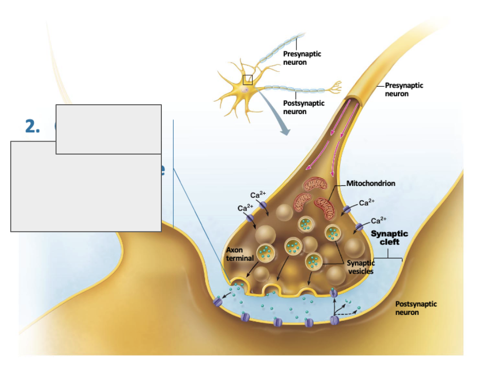 <p>what is happening in this image?</p>