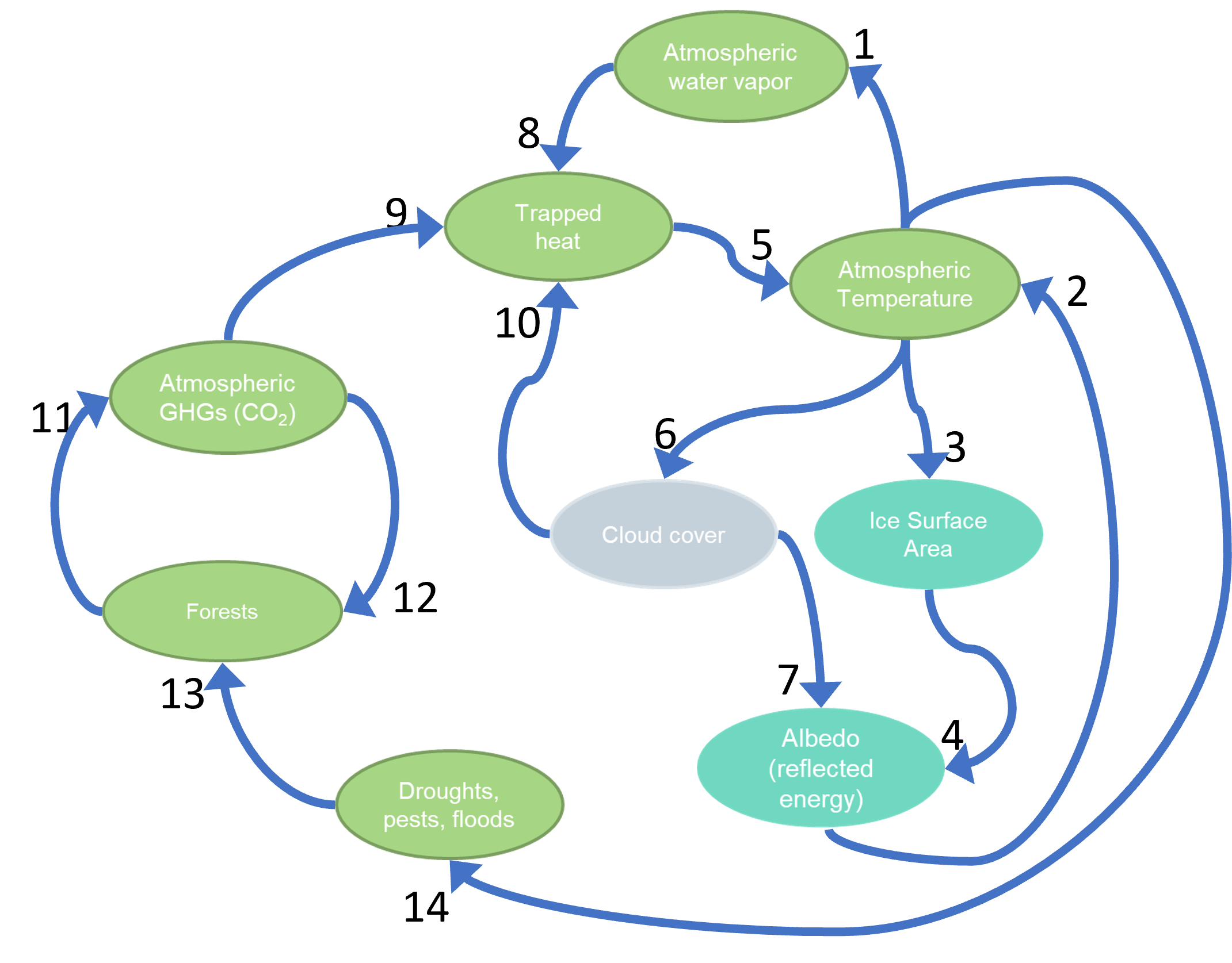 <p>Identify the Reinforcing Feedback Loops.</p>