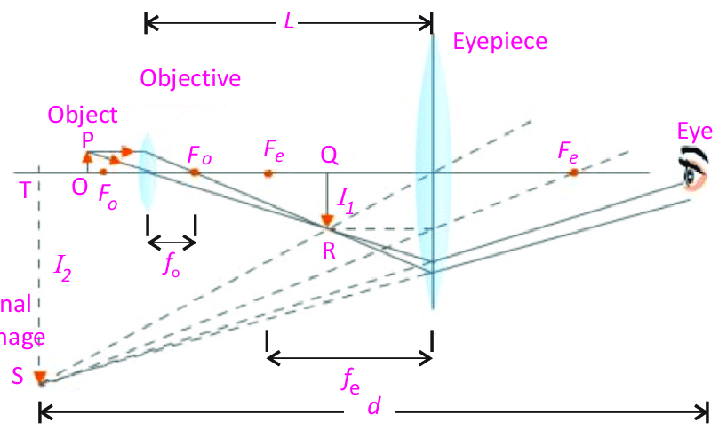 <p>objective lens is real</p><p>eyepiece lens is virtual</p><p>multiply the 2 M values</p>