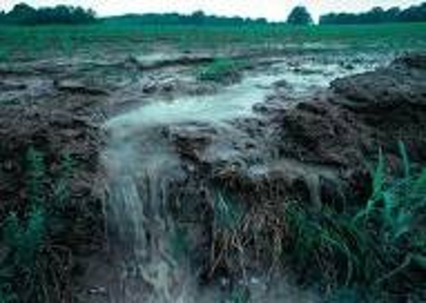 <p>water that moves across the land surface and into streams and rivers</p>