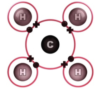 <ul><li><p>Four valence electrons, which means it can covalently bond four times with other elements/compounds/molecules </p></li><li><p>Can form covalent bonds</p></li><li><p>Can form double bonds and bonds with itself</p></li></ul>