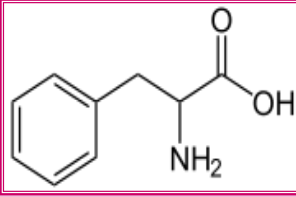 <p>IDENTIFY THE FOLLOWING MONOMERS</p>
