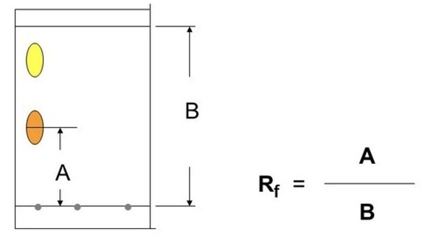 <p>(distance travelled by) SPOT / (distance travelled by) SOLVENT</p>