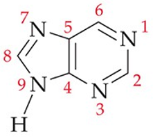 <p>recognize this structure</p>