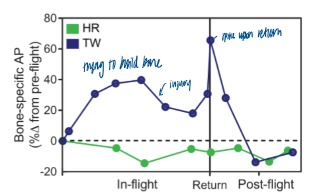 <p>in space, trying to build bone then drops from injury to system (being in space) </p><ul><li><p>increased AP = more bone building</p></li><li><p>spike upon return to earth </p></li><li><p>relatively similar values to norm </p></li></ul><p></p>