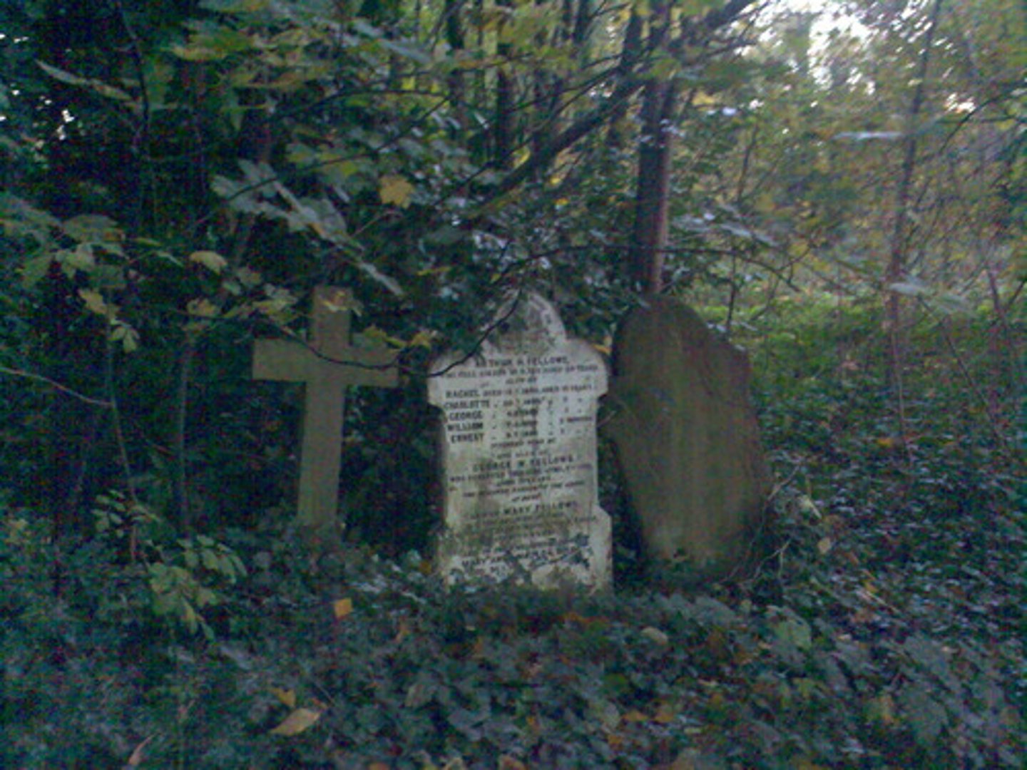 <p>The number of deaths in a population in a certain amount of time</p>