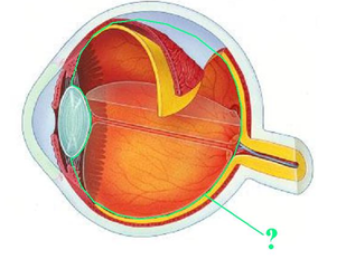 <p><span><span>Identify the indicated space.</span></span></p>