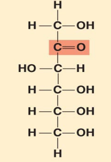 <p>Ketohexose</p>