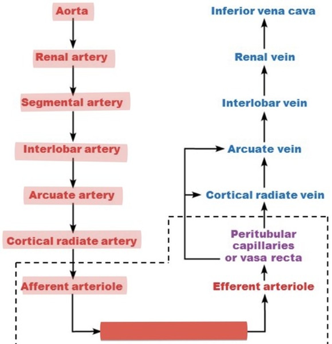 <p>What is this?</p>