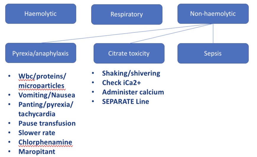 <p>Pyrexia/ anaphylaxis - V, nausea, panting, pyrexia, tachycardia → pause/slow transfusion, chlorphenamine, maropitant</p><p>Citrate toxicity - shaking, lower Ca conc in blood → check iCa2+, administer Ca</p><p>Sepsis</p>