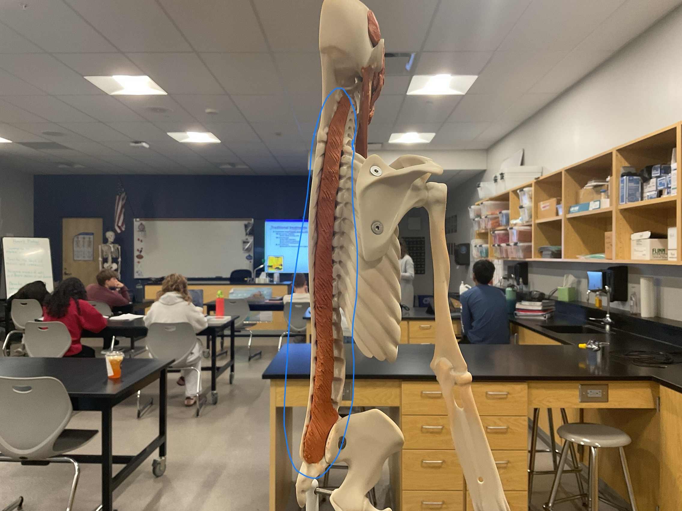 knowt flashcard image