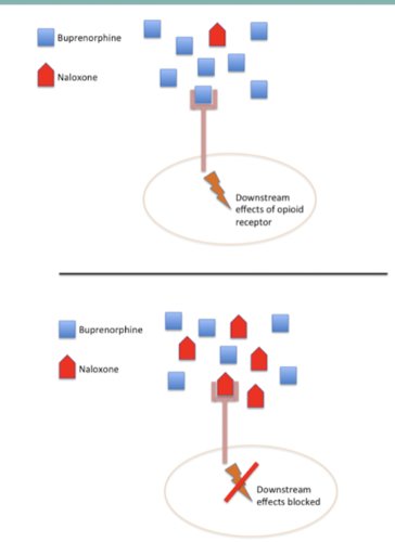 partial mu agonist with high potency

helps to wean pts off opioids by preventing severe withdrawal symptoms 

can precipitate withdrawal if full agonist in pt's system 

combined with naloxone to deter IV and intranasal abuse