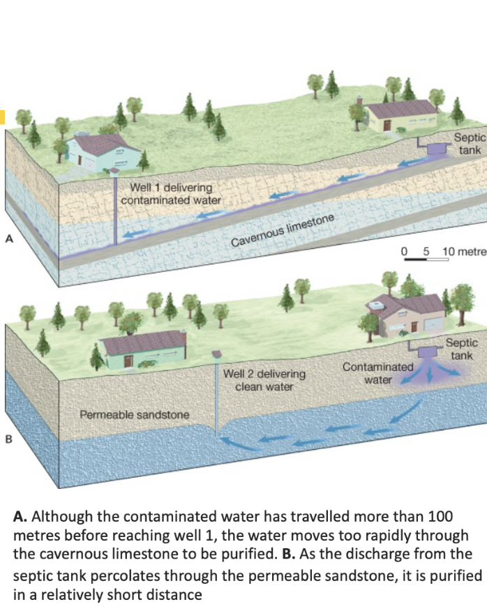 <p><span>How can groundwater be naturally purified?</span></p>