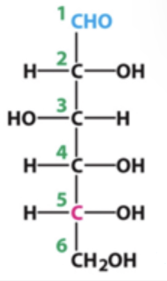 <p>how many chiral carbons are present within this molecule?</p>
