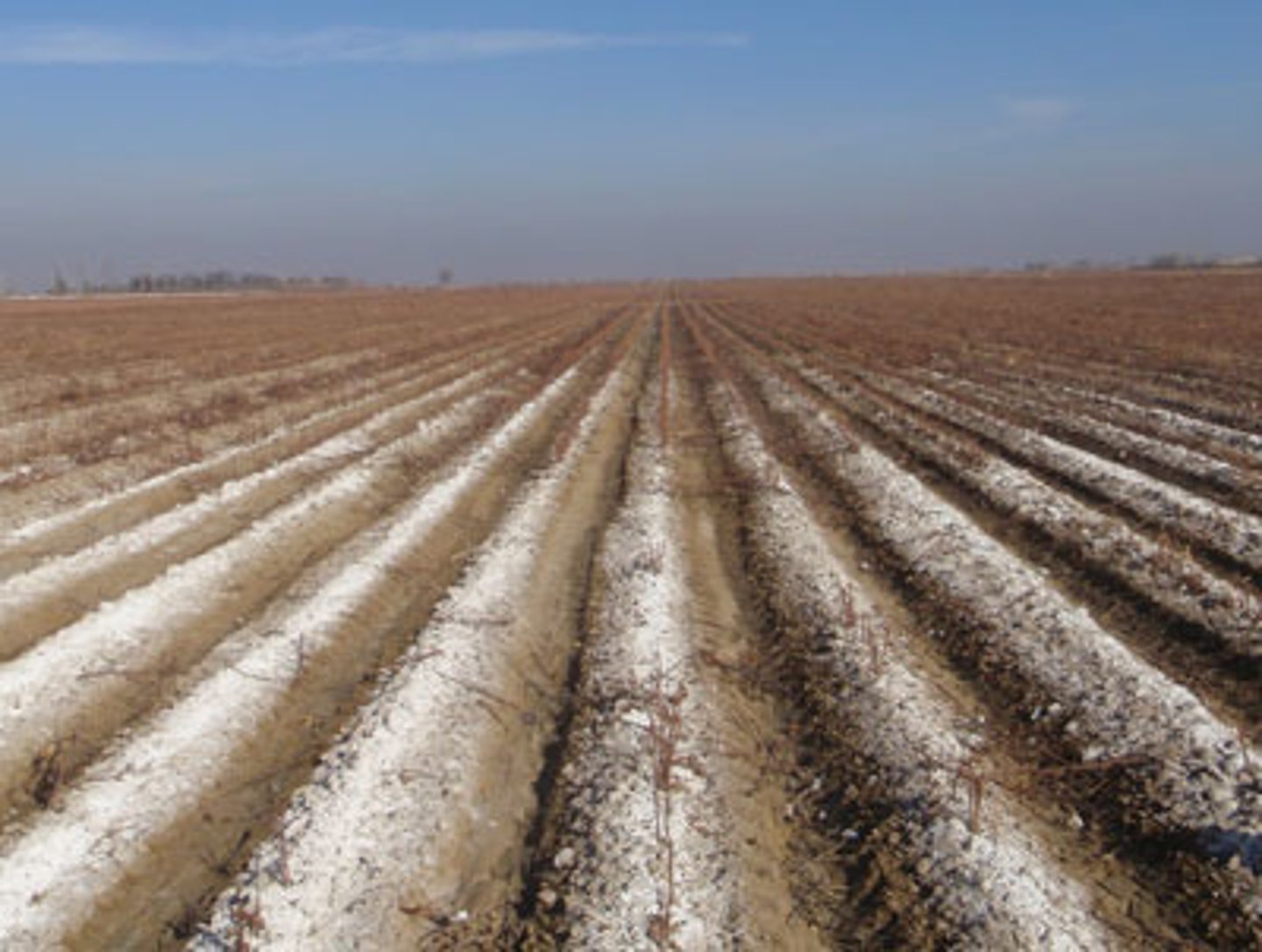 <p>A form of soil degradation that occurs when the small amount of salts in irrigation water becomes highly concentrated on the soil surface through evaporation.</p>