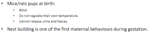 <ul><li><p>most mammalian species show parental behaviour</p></li><li><p>hormonal and neuronal control mostly base on data from rodents</p></li><li><p>most research on maternal behaviour</p></li></ul>