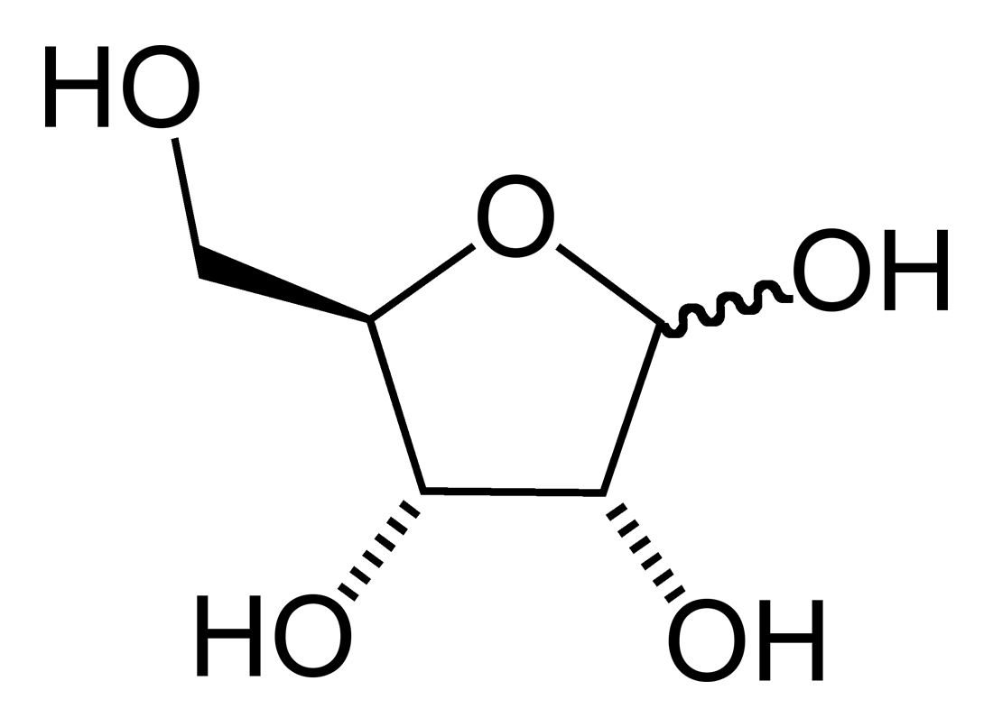 Ribos
