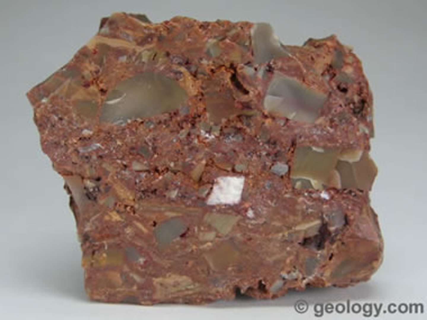 <p>fossilization process that occurs when pore spaces in an organism's remains are filled with minerals that precipitate out of solution<br><br>proceso de fosilización que ocurre cuando los poros de los restos de un organismo se llenan de minerales que precipitaron de una disolución</p>