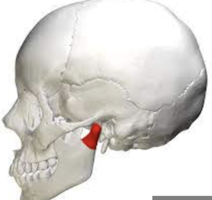 what is the red 