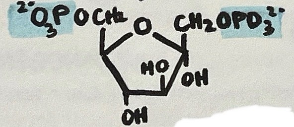 <p>name the following intermediate</p>