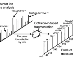 precursor ion
