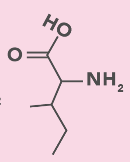 <ul><li><p>Aliphatic (Nonpolar)</p></li><li><p>Ile</p></li><li><p>Same molecular weight as Leucine</p></li></ul><p></p>