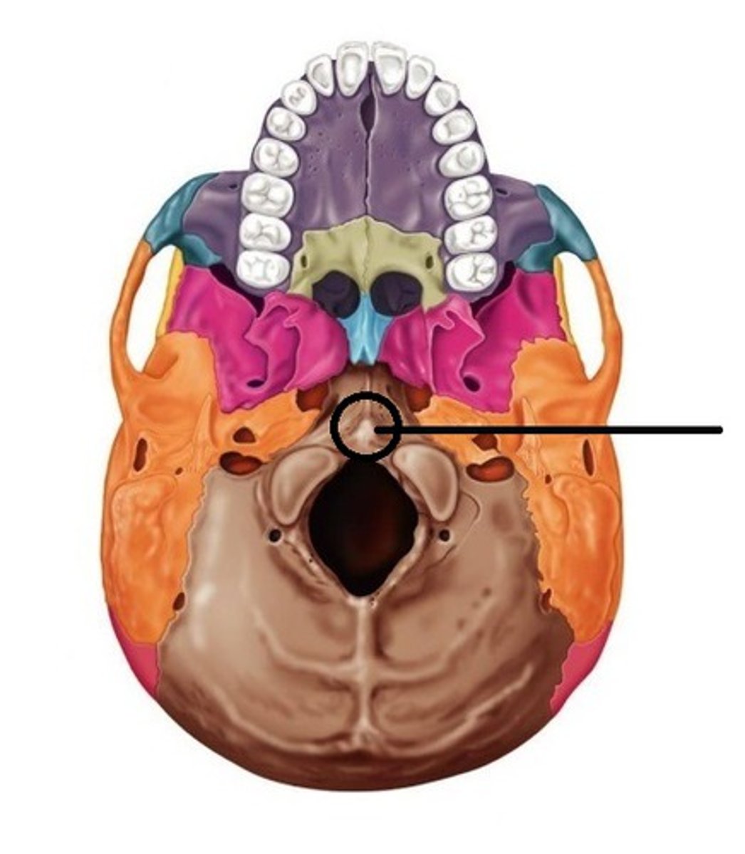 knowt flashcard image