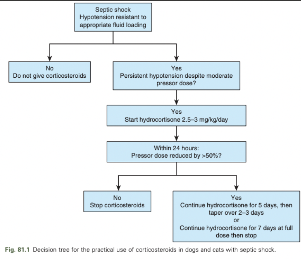 <ul><li><p><span>Dogs and cats with fluid-loaded, pressor-refractory septic shock can be treated with 2.5-3 mg/kg/day of hydrocortisone as a CRI</span></p><ul><li><p><span>Reasonable to continue steroid therapy only in patients that show significant improvement in cardiovascular status within 24 hours of starting the drug</span></p></li></ul></li></ul><p></p>