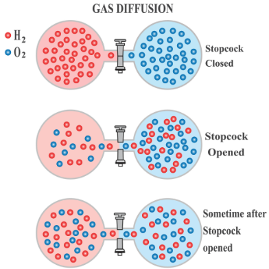 <p>gases mix together</p>