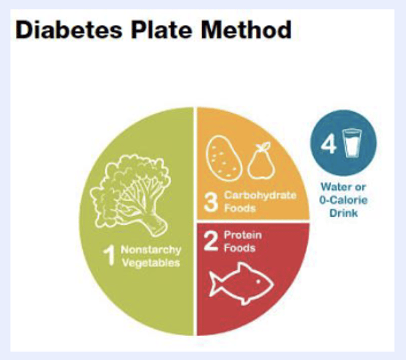 <p>1/2 plate non-starchy vegetables</p><p>1/4 plate carbohydrate foods</p><p>1/4 plate protein foods</p><p>4 cups water or 0-calorie drink</p>
