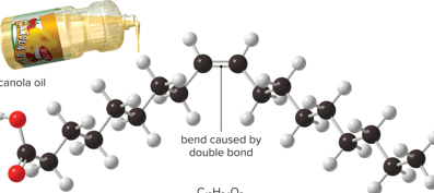 <p>Name of fat </p>