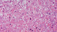 <p>identify</p>