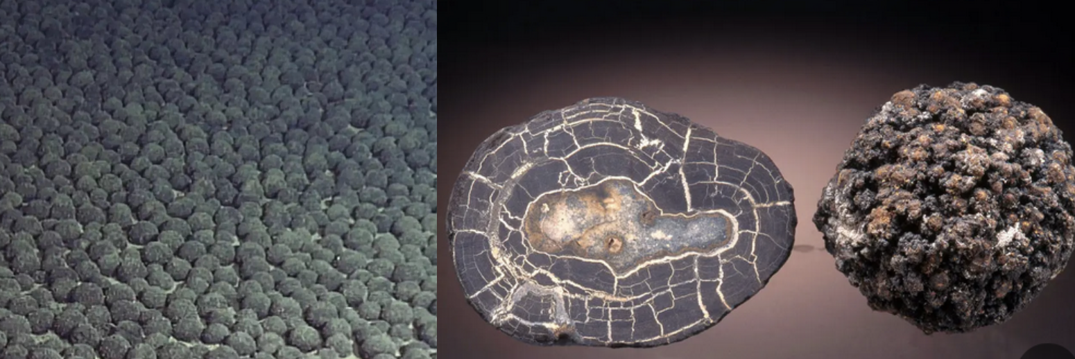 Form metal-rich nodules on the seafloor from chemical reactions

* Rich in manganese – target for deep sea mining