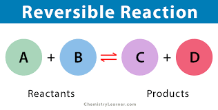 <p><span style="font-family: sans-serif; color: #NaNNaNNaN">At equilibrium, the amounts of chemicals do not change even though the reactions are still occurring </span></p>