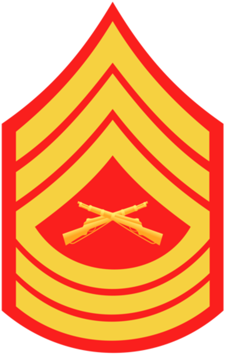 <p>Master Sergeant/First Sergeant</p>